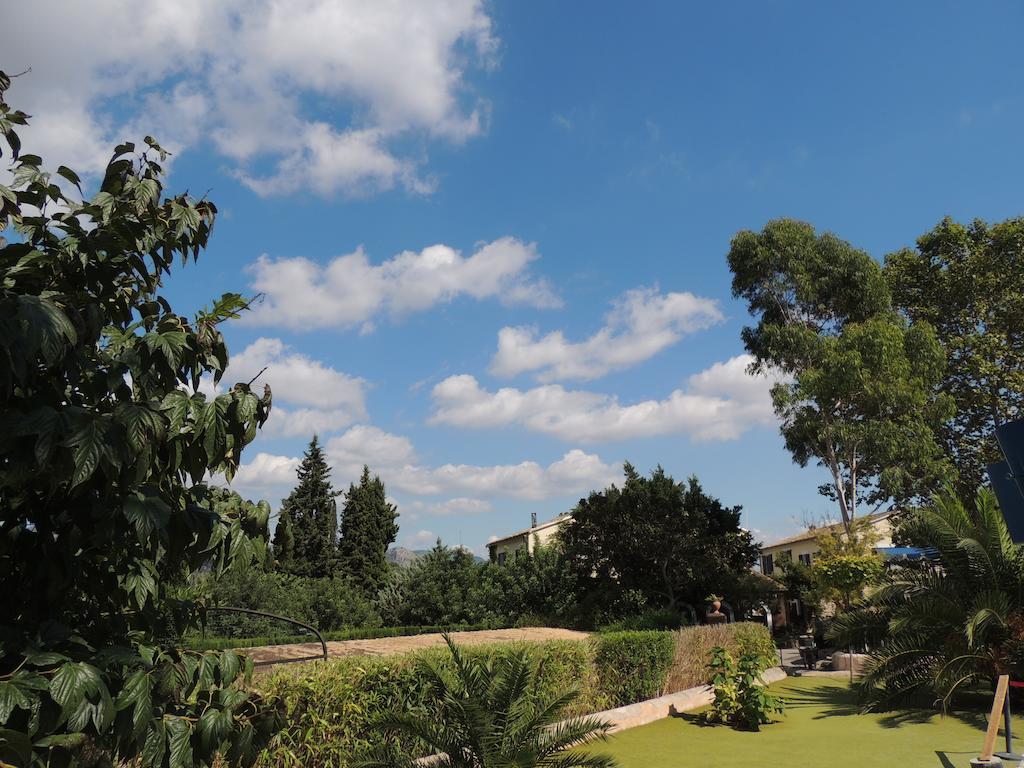 Loftotel Canet Esporles Δωμάτιο φωτογραφία